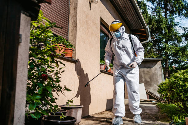 Best Exterminator Services  in Central Heights Midland City, AZ