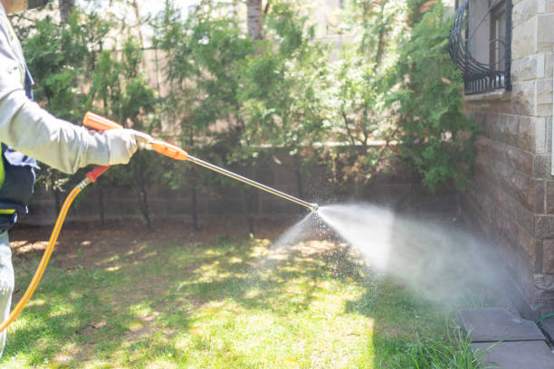 Insect Control in Central Heights Midland City, AZ