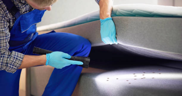 Best Pest Control Near Me in Central Heights Midland City, AZ