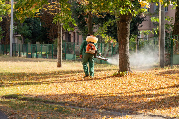 Central Heights Midland City, AZ Pest Control Company