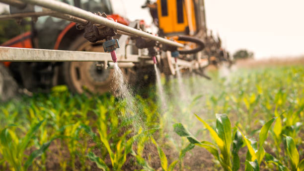 Best Commercial Pest Control Services  in Central Heights Midland City, AZ